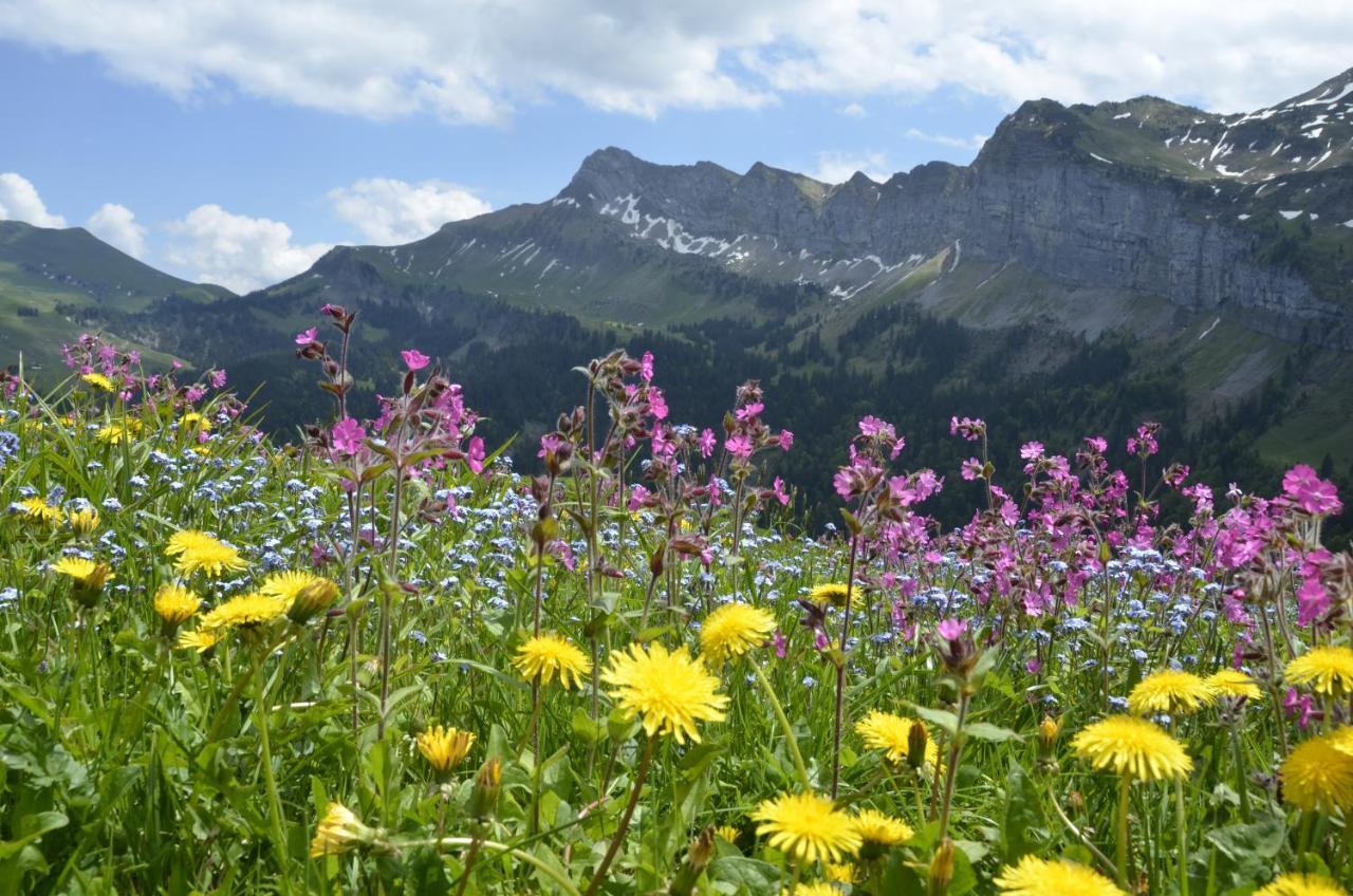 Ferienwohnung Ob Vierwaldsaettersee Isenthal Exteriér fotografie